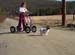 any dog as musher